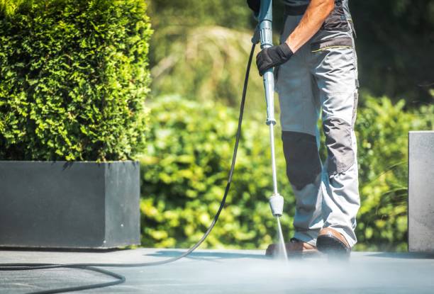 Best Building Exterior Washing  in West Easton, PA