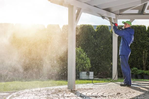 Best Spring Cleaning  in West Easton, PA